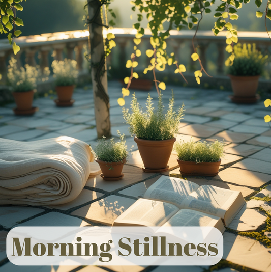 Morning Stillness